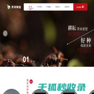 齐丰种业