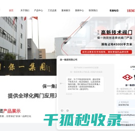 安全回流阀厂家