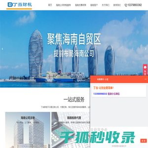海南财税公司