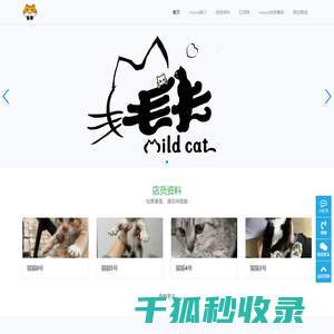 环氧富锌底漆