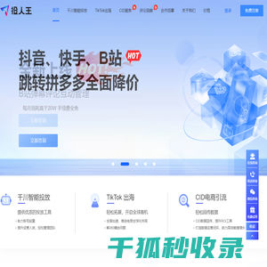 投人王