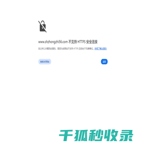 上海中至国际物流有限公司
